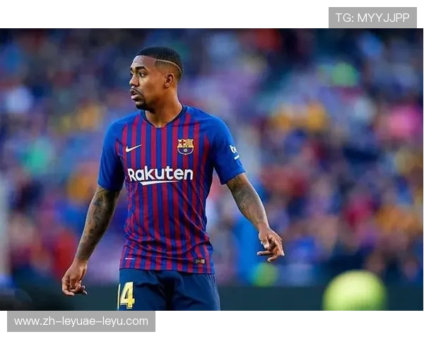 法甲外援身价分析及其市场波动规律