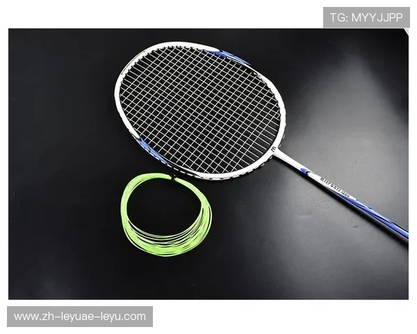 羽毛球线 淘宝