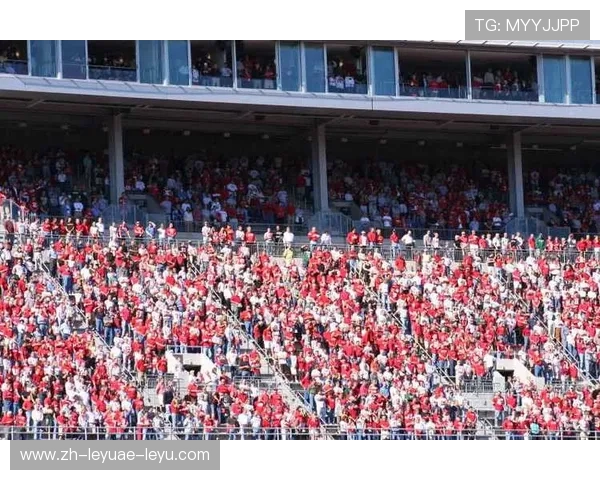 足球赛事中的全球观众与媒体互动