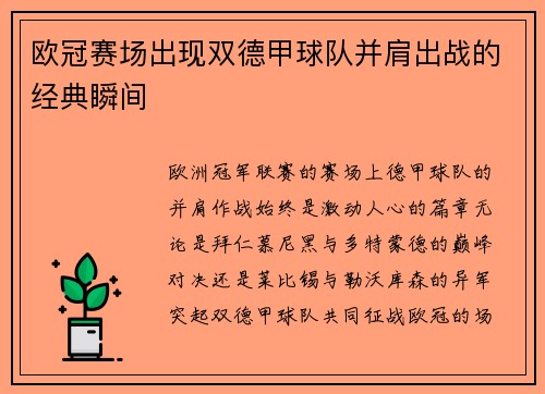 欧冠赛场出现双德甲球队并肩出战的经典瞬间